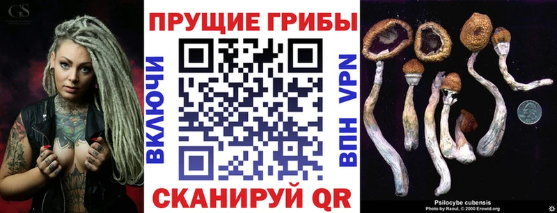 где купить наркоту  Кирсанов  Галлюциногенные грибы MAGIC MUSHROOMS 